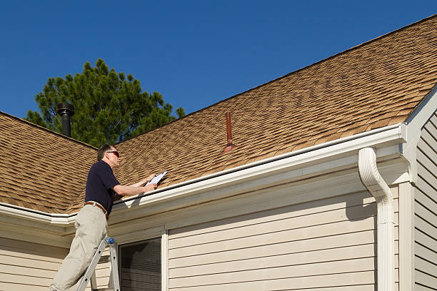 Best Asphalt Shingle Roofing  in Maple Grove, MN